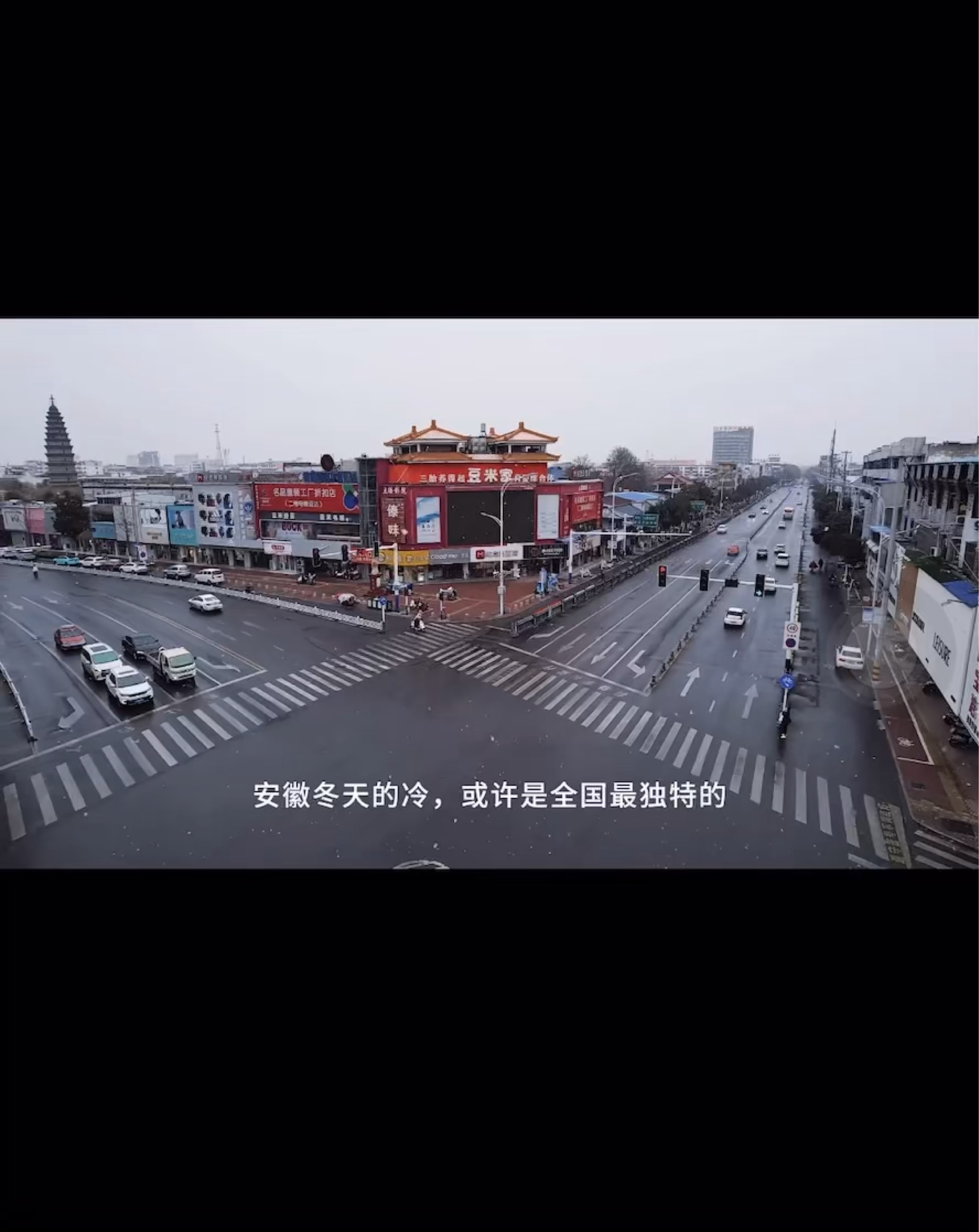 鸟图